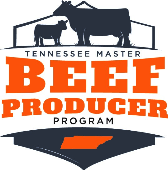 Tennessee Master Beef Producer Program