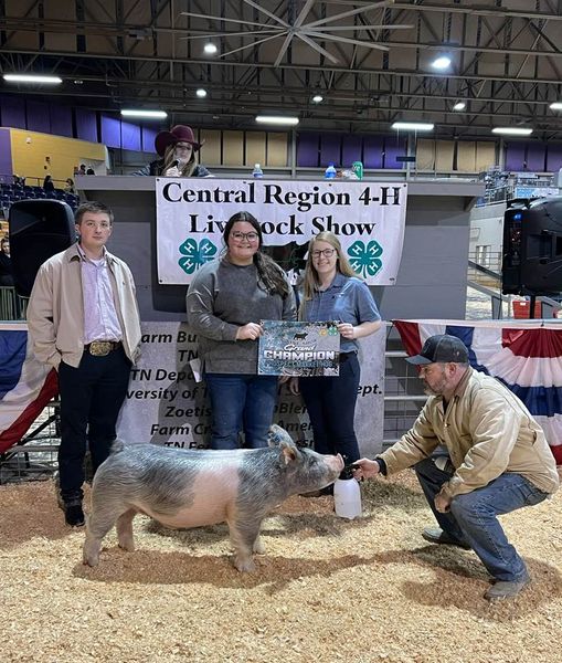 Selby - 4-H Grand Champion Crossbred Prospect Barrow in the Central Region Livestock Show